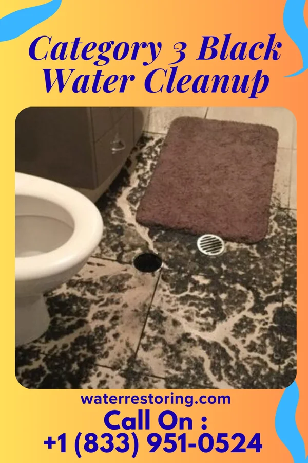 Category 3 Black Water Cleanup in Wink, TX