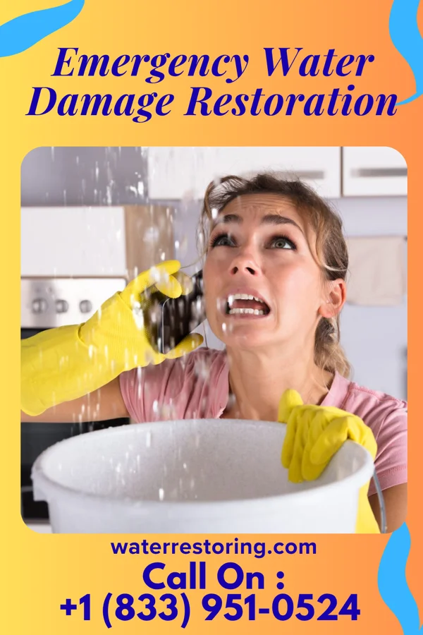 Emergency Water Damage Restoration in Wink, TX