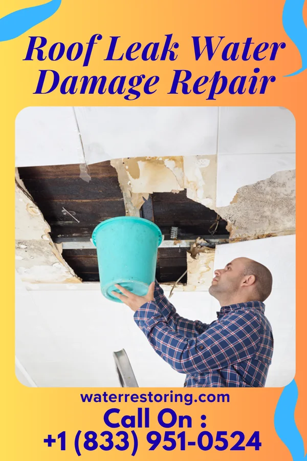 Roof Leak Water Damage Repair in Wink, TX