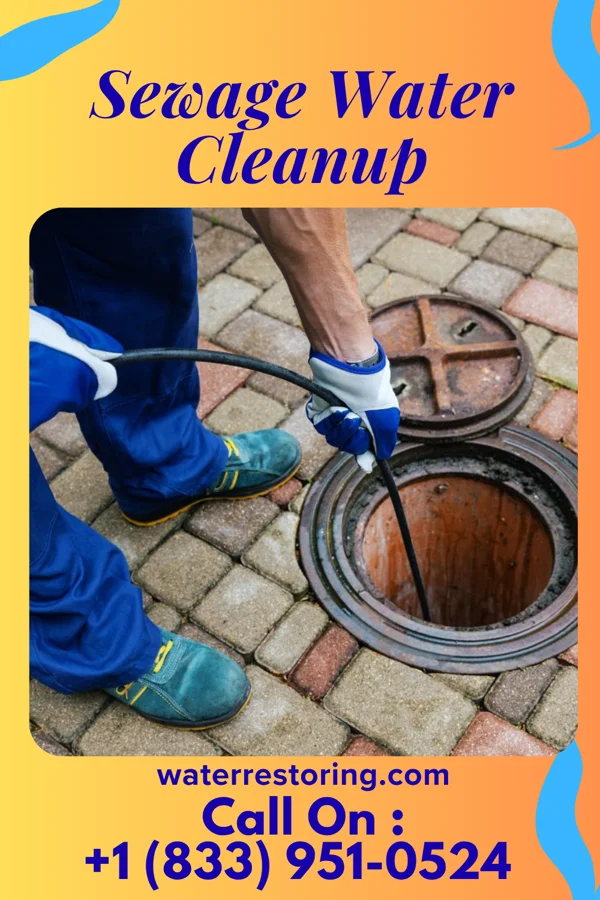 Sewage Water Cleanup in Wink, TX